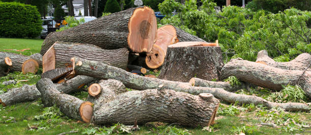 Best Firewood Processing and Delivery  in , NE