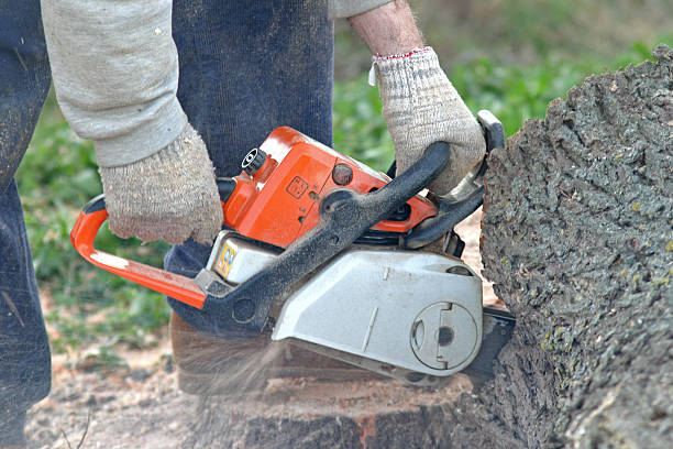  , NE Tree Care Pros